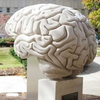 Big Brain with Smart Lighting
