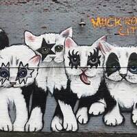 KISS Kittens Mural