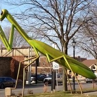 KokoMantis, 17-Foot-Tall Bug