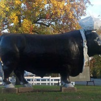 Big Bull Statue #2