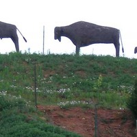 Bison Sculpture on Hill