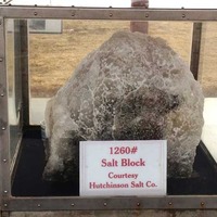 1,260 Lb. Salt Block and Discovery Well