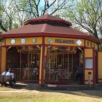 Backyard Carousel