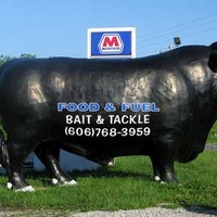 Bait and Tackle Bull