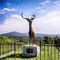 Elk on the Trail Monument