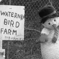 Waterman Bird Farm