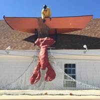 Joe Tweet and the Giant Lobster