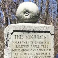 Baldwin Apple Monument