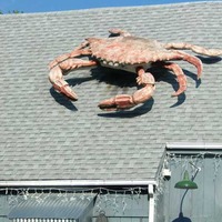 Giant Crab on a Roof