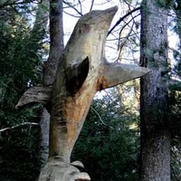 Blowing Cave, Dolphin Tree Carving