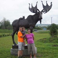 Maine Tribute Moose
