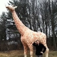Animal Park Giraffe Statue