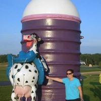 Naughty Cow Statue
