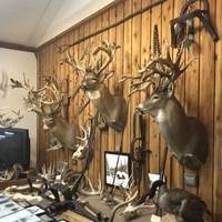 Michigan Whitetail Hall of Fame Museum