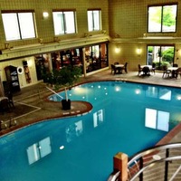 Michigan-Shaped Swimming Pool