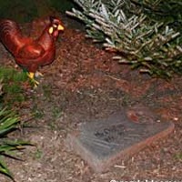 Grave of Mr. Chicken the Plastic-Legged Rooster