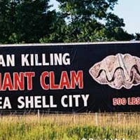 Man Killing Clam!