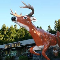 Deer Ranch, Leaping Deer Statue