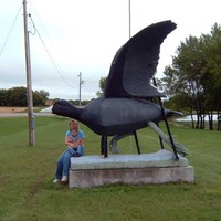 Big Coot (a type of duck) Statue