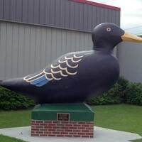 Original Black Duck Statue