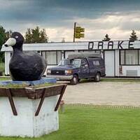 Black Duck - Drake Motel