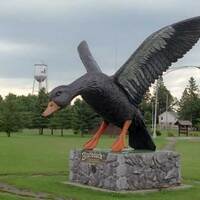 World's Largest Black Duck Statue