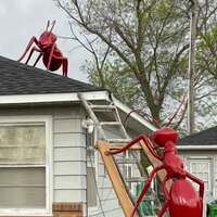 Giant Ants on Roof
