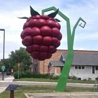 World's Largest Raspberry