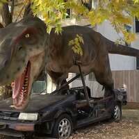 T-Rex Attacks a Car