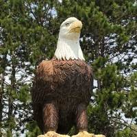 Big Bald Eagle