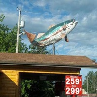 Bass Fish Statue
