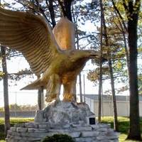 Big Golden Eagle