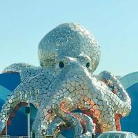 Giant Silver Octopus