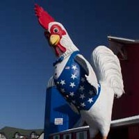 World's Largest Rooster