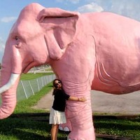 Big Pink Elephant
