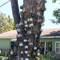 Cup Tree and Shoe Fence