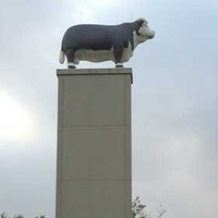 Big Bull on a Pylon, Dedicated by Ike