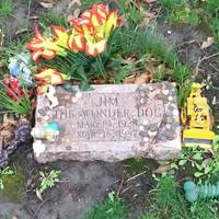 Grave of Jim the Wonder Dog