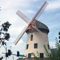 Bevo Windmill