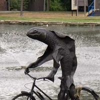 Fish on a Bicycle