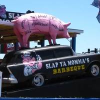 Big Pig on Station Wagon