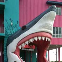 32-Foot-Tall Shark Head Entrance