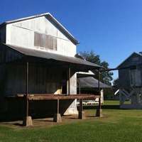 Dockery Farms - Birthplace of the Blues?