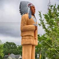 Chief Duck Statue