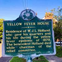 Yellow Fever House