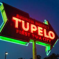 Neon: First TVA City Sign