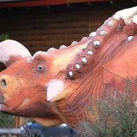 Old Trail Museum: Dinosaurs and Ice Cream