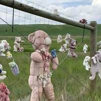 Teddy Bear Fence