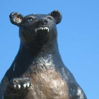 Big Standing Bear with Fangs