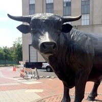 Major: Good Luck Bull Statue
